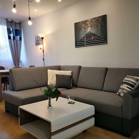 Apartament Alfa Daire Stary Toruń Dış mekan fotoğraf