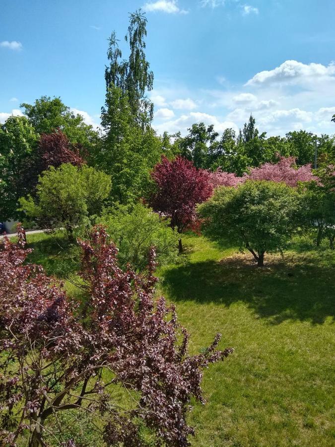 Apartament Alfa Daire Stary Toruń Dış mekan fotoğraf