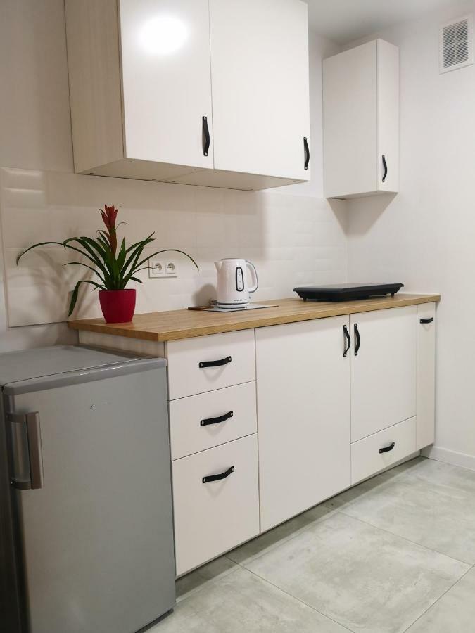 Apartament Alfa Daire Stary Toruń Dış mekan fotoğraf